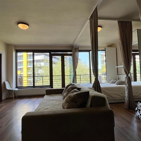 Apartament Plopilor Sdtudio Kluż-Napoka Zewnętrze zdjęcie