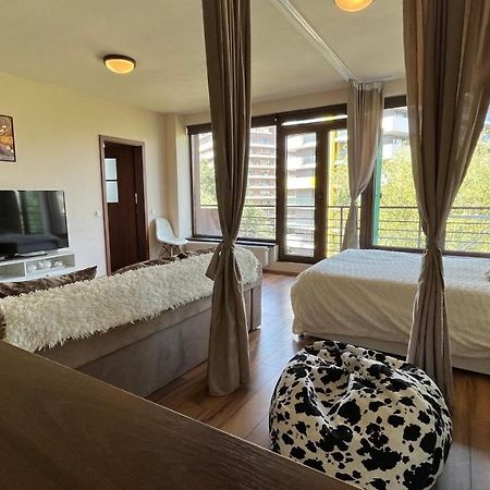 Apartament Plopilor Sdtudio Kluż-Napoka Zewnętrze zdjęcie