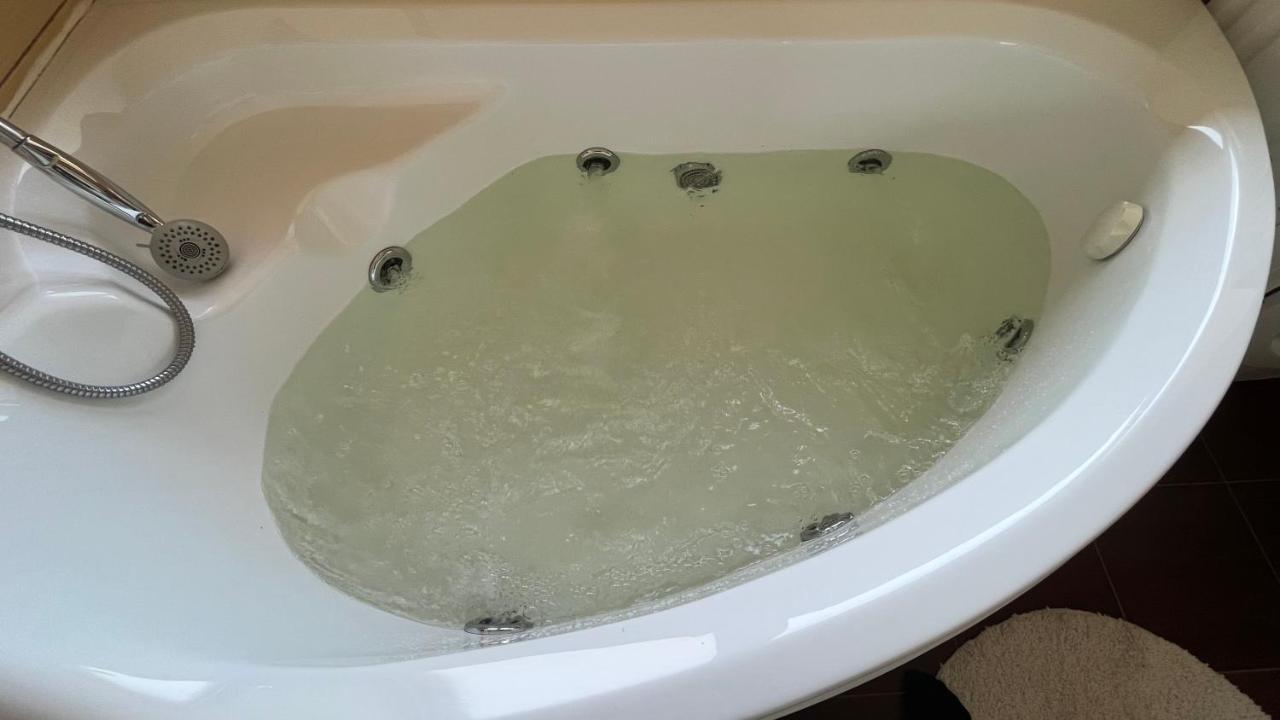 Apartament Plopilor Sdtudio Kluż-Napoka Zewnętrze zdjęcie