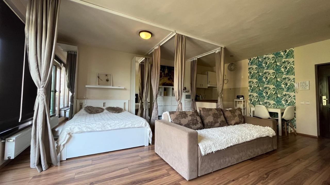Apartament Plopilor Sdtudio Kluż-Napoka Zewnętrze zdjęcie