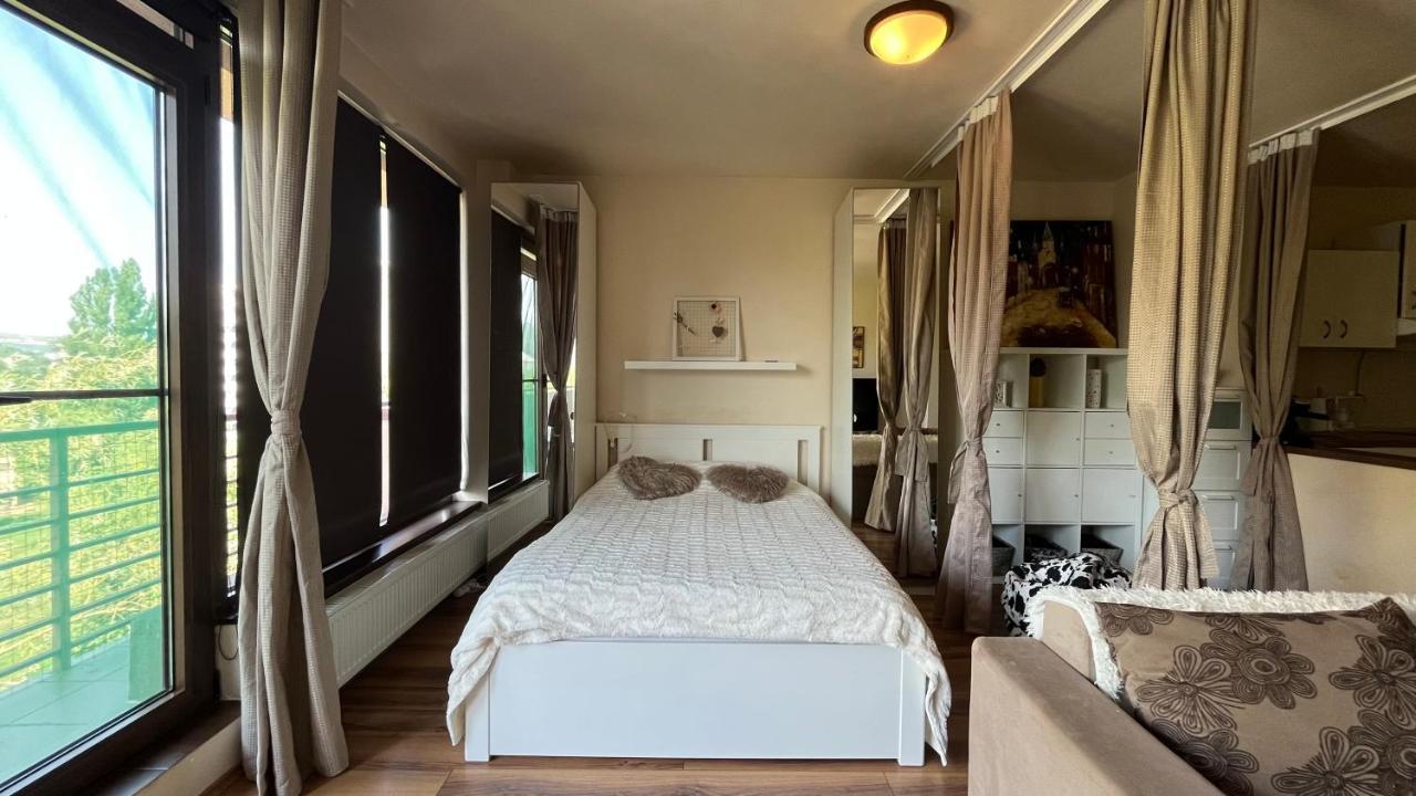 Apartament Plopilor Sdtudio Kluż-Napoka Zewnętrze zdjęcie