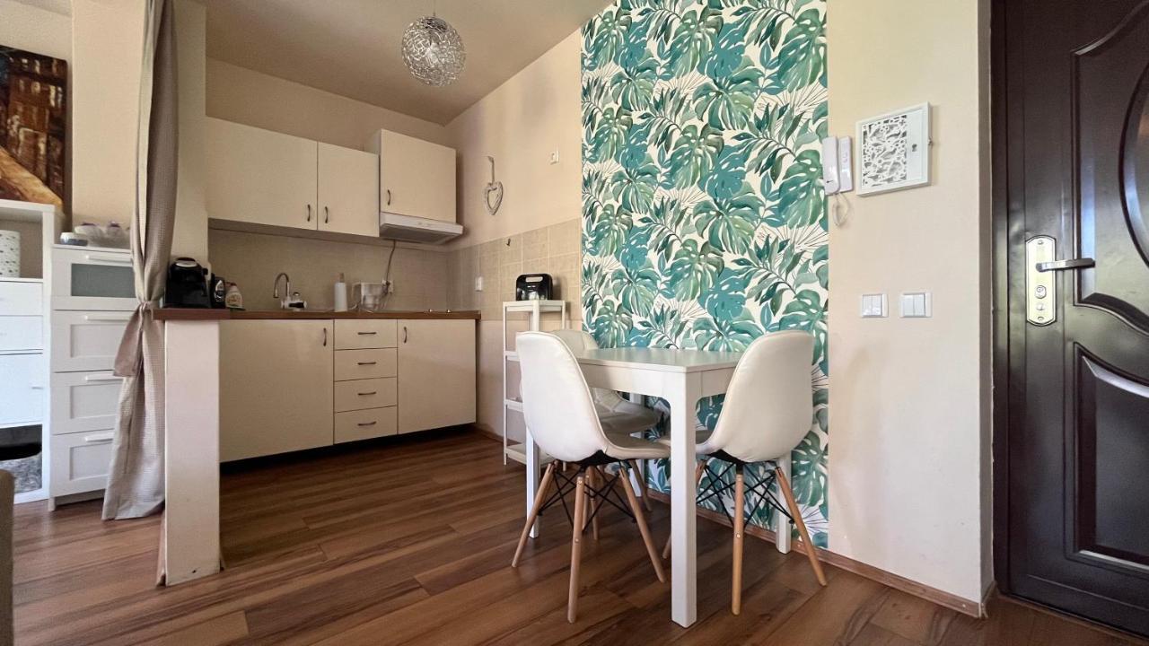 Apartament Plopilor Sdtudio Kluż-Napoka Zewnętrze zdjęcie